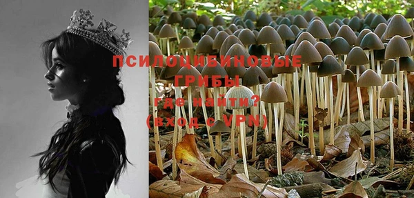 PSILOCYBIN Алексин