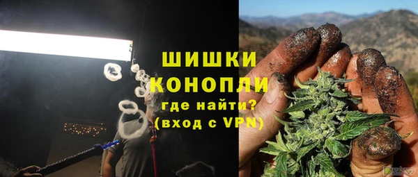 дурь Переславль-Залесский