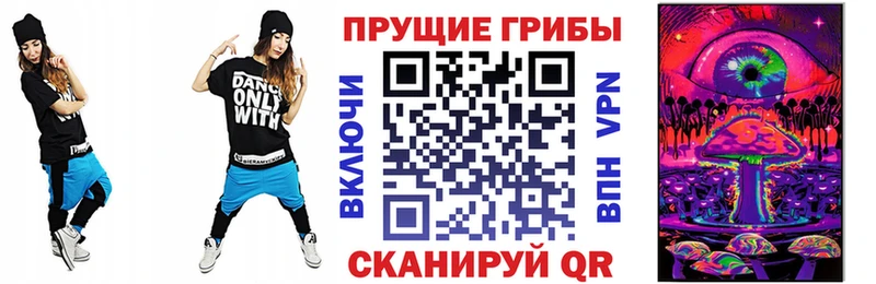 Псилоцибиновые грибы Cubensis  Киселёвск 
